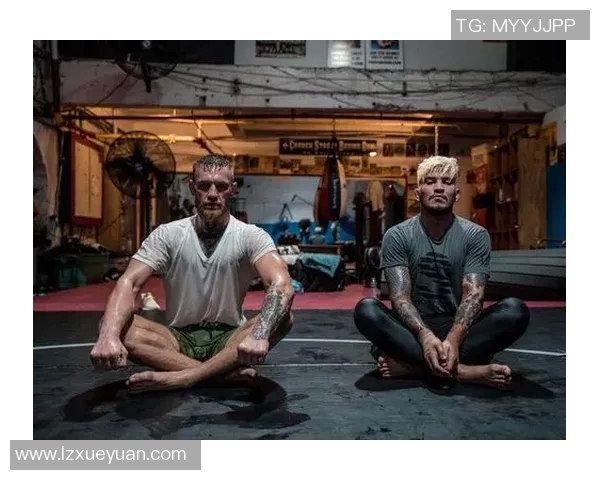 MMA格斗之夜：KO瞬间集锦